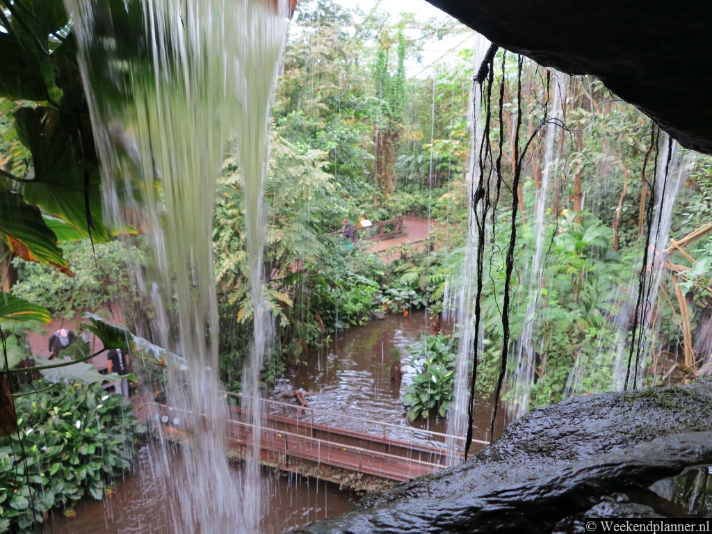 Er zijn paden waarover u tot  achter de waterval kunt komen.